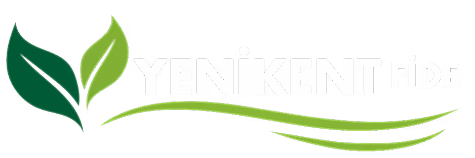 Yenikent%20Fide